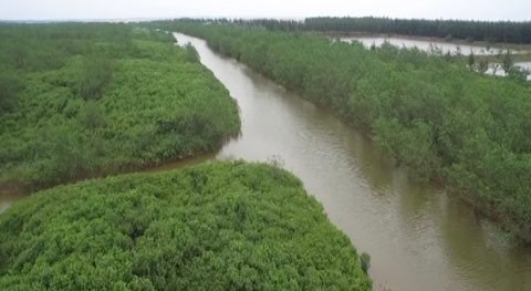 Bài học đắt giá trong việc phá rừng để phát triển kinh tế. (19/5/2017)